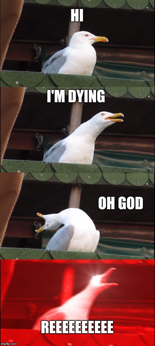 Inhaling Seagull Meme | HI; I'M DYING; OH GOD; REEEEEEEEEE | image tagged in memes,inhaling seagull | made w/ Imgflip meme maker