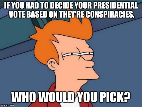 Anyone remember YouTube before the election lol | IF YOU HAD TO DECIDE YOUR PRESIDENTIAL VOTE BASED ON THEY’RE CONSPIRACIES, WHO WOULD YOU PICK? | image tagged in memes,futurama fry | made w/ Imgflip meme maker