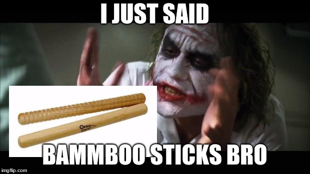 And everybody loses their minds | I JUST SAID; BAMMBOO STICKS BRO | image tagged in memes,and everybody loses their minds | made w/ Imgflip meme maker