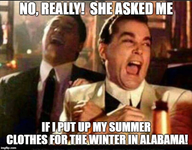 Lol good fellas  | NO, REALLY!  SHE ASKED ME; IF I PUT UP MY SUMMER CLOTHES FOR THE WINTER IN ALABAMA! | image tagged in lol good fellas | made w/ Imgflip meme maker