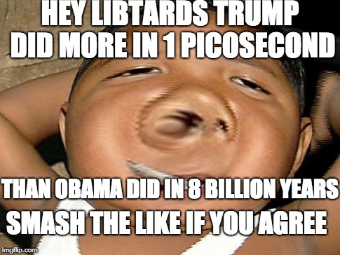HEY LIBTARDS TRUMP DID MORE IN 1 PICOSECOND; THAN OBAMA DID IN 8 BILLION YEARS; SMASH THE LIKE IF YOU AGREE | image tagged in trolled,libtards | made w/ Imgflip meme maker