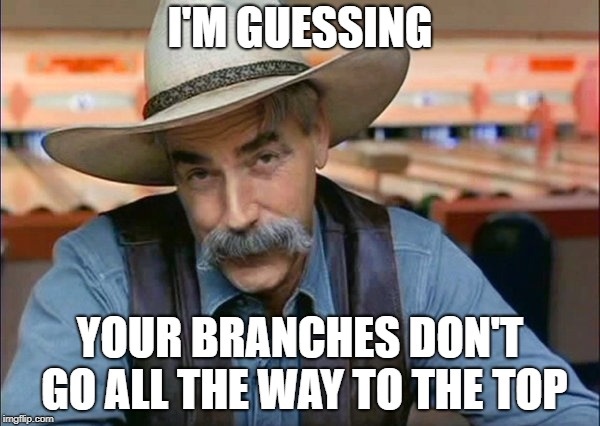 Sam Elliott special kind of stupid | I'M GUESSING; YOUR BRANCHES DON'T GO ALL THE WAY TO THE TOP | image tagged in sam elliott special kind of stupid | made w/ Imgflip meme maker