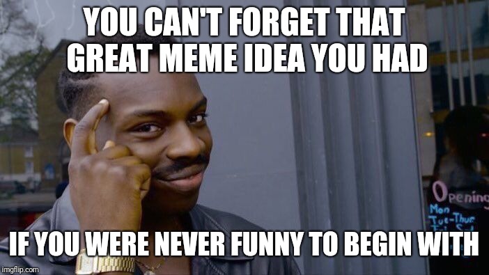 Roll Safe Think About It | YOU CAN'T FORGET THAT GREAT MEME IDEA YOU HAD; IF YOU WERE NEVER FUNNY TO BEGIN WITH | image tagged in memes,roll safe think about it,reality | made w/ Imgflip meme maker