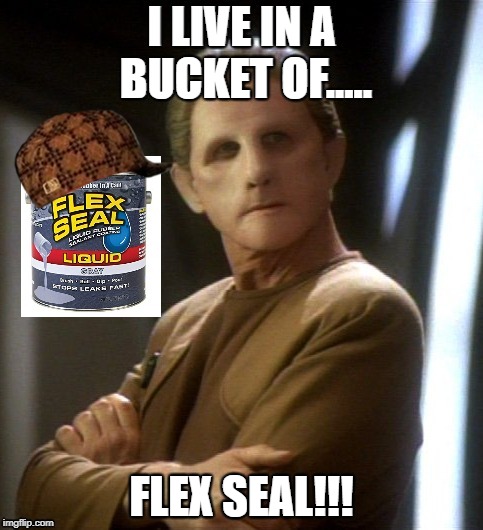 Odo's Home | I LIVE IN A BUCKET OF..... FLEX SEAL!!! | image tagged in star trek,flex seal,memes | made w/ Imgflip meme maker