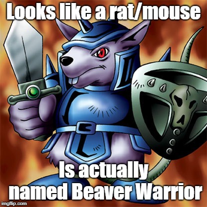 Rat/Mouse Warrior? | Looks like a rat/mouse; Is actually named Beaver Warrior | image tagged in yugioh | made w/ Imgflip meme maker