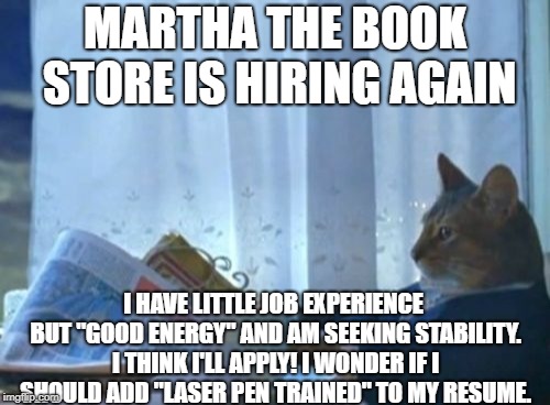 I Should Buy A Boat Cat | MARTHA THE BOOK STORE IS HIRING AGAIN; I HAVE LITTLE JOB EXPERIENCE BUT "GOOD ENERGY" AND AM SEEKING STABILITY. I THINK I'LL APPLY! I WONDER IF I SHOULD ADD "LASER PEN TRAINED" TO MY RESUME. | image tagged in memes,i should buy a boat cat | made w/ Imgflip meme maker