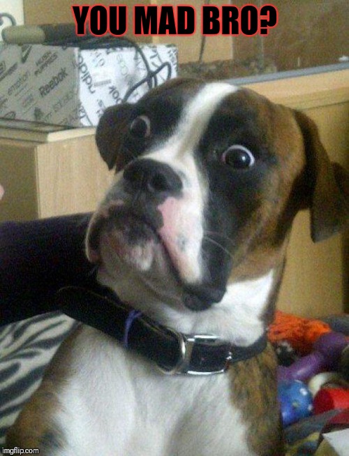 Blankie the Shocked Dog | YOU MAD BRO? | image tagged in blankie the shocked dog | made w/ Imgflip meme maker