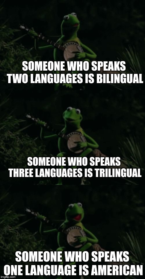 It's nice to be an English speaker! |  SOMEONE WHO SPEAKS TWO LANGUAGES IS BILINGUAL; SOMEONE WHO SPEAKS THREE LANGUAGES IS TRILINGUAL; SOMEONE WHO SPEAKS ONE LANGUAGE IS AMERICAN | image tagged in bad pun kermit banjo,stupid americans | made w/ Imgflip meme maker