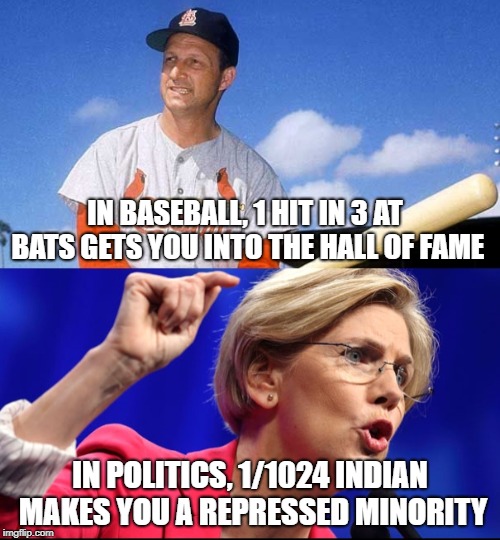 IN BASEBALL, 1 HIT IN 3 AT BATS GETS YOU INTO THE HALL OF FAME; IN POLITICS, 1/1024 INDIAN MAKES YOU A REPRESSED MINORITY | image tagged in elizabeth warren | made w/ Imgflip meme maker
