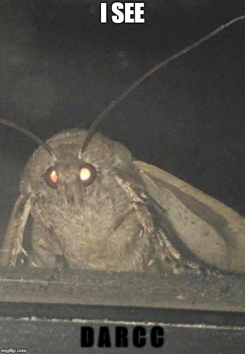 Moth | I SEE D A R C C | image tagged in moth | made w/ Imgflip meme maker