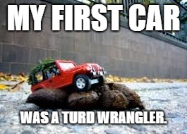 Turd Wrangler | MY FIRST CAR; WAS A TURD WRANGLER. | image tagged in funny | made w/ Imgflip meme maker