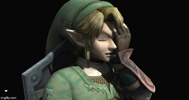 Link Facepalm | - | image tagged in link facepalm | made w/ Imgflip meme maker