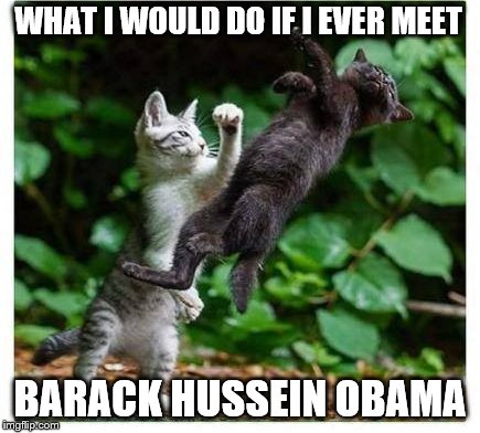 he's out | WHAT I WOULD DO IF I EVER MEET; BARACK HUSSEIN OBAMA | image tagged in funny | made w/ Imgflip meme maker