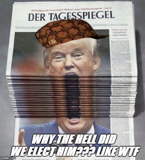 Da real trump | WHY THE HELL DID WE ELECT HIM??? LIKE WTF | image tagged in wtf | made w/ Imgflip meme maker