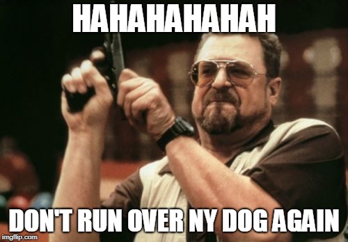 Am I The Only One Around Here Meme | HAHAHAHAHAH; DON'T RUN OVER NY DOG AGAIN | image tagged in memes,am i the only one around here | made w/ Imgflip meme maker