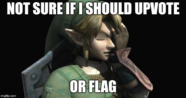 Link Facepalm | NOT SURE IF I SHOULD UPVOTE OR FLAG | image tagged in link facepalm | made w/ Imgflip meme maker