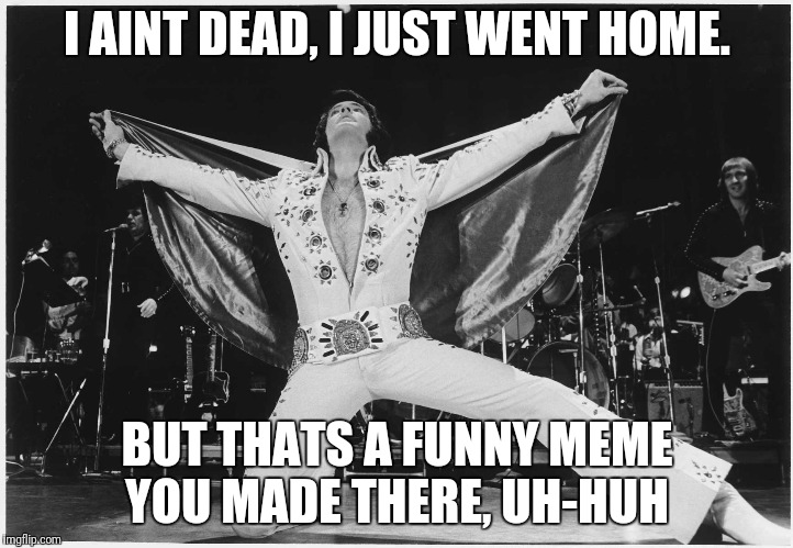 Elvis  | I AINT DEAD, I JUST WENT HOME. BUT THATS A FUNNY MEME YOU MADE THERE, UH-HUH | image tagged in elvis | made w/ Imgflip meme maker