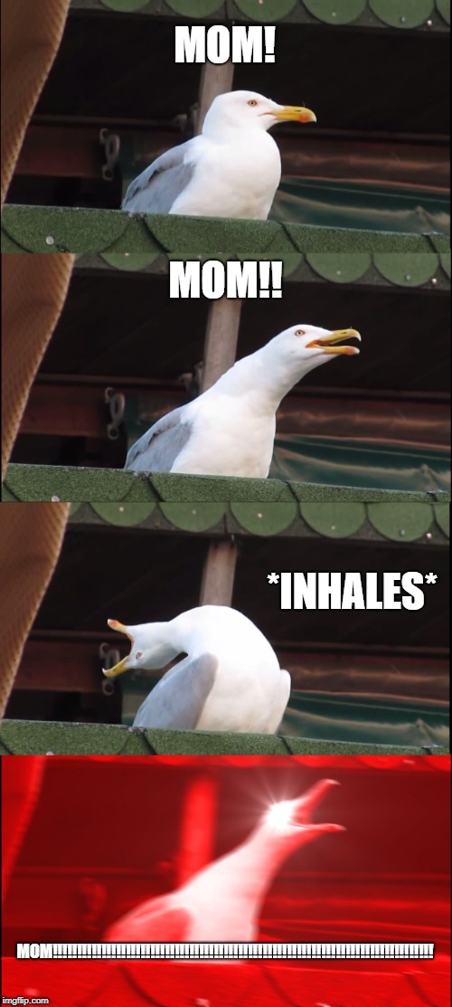 Inhaling Seagull Meme | MOM! MOM!! *INHALES*; MOM!!!!!!!!!!!!!!!!!!!!!!!!!!!!!!!!!!!!!!!!!!!!!!!!!!!!!!!!!!!!!!!!!!!!!!!!!!!!!! | image tagged in memes,inhaling seagull | made w/ Imgflip meme maker