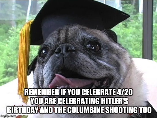 It's true if you just wanna smoke you can do it just remember this | REMEMBER IF YOU CELEBRATE 4/20 YOU ARE CELEBRATING HITLER'S BIRTHDAY AND THE COLUMBINE SHOOTING TOO | image tagged in i'm hungry for more until graduation,memes,pugs,420,hitler,columbine | made w/ Imgflip meme maker