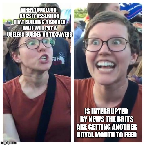 Triggered hypocrite feminist | WHEN YOUR LOUD, ANGSTY ASSERTION THAT BUILDING A BORDER WALL WILL PUT A USELESS BURDEN ON TAXPAYERS; IS INTERRUPTED BY NEWS THE BRITS ARE GETTING ANOTHER ROYAL MOUTH TO FEED | image tagged in triggered hypocrite feminist,border wall,british royals | made w/ Imgflip meme maker