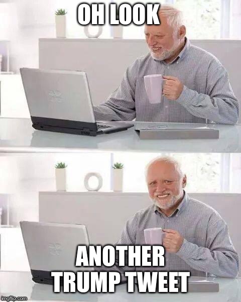 Hide the Pain Harold | OH LOOK; ANOTHER TRUMP TWEET | image tagged in memes,hide the pain harold | made w/ Imgflip meme maker