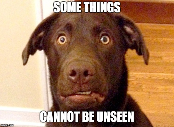 Can't Unsee Dog | SOME THINGS CANNOT BE UNSEEN | image tagged in can't unsee dog | made w/ Imgflip meme maker