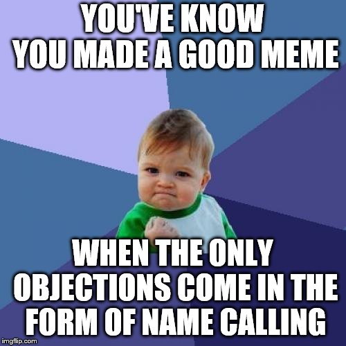Success Kid Meme | YOU'VE KNOW YOU MADE A GOOD MEME WHEN THE ONLY OBJECTIONS COME IN THE FORM OF NAME CALLING | image tagged in memes,success kid | made w/ Imgflip meme maker