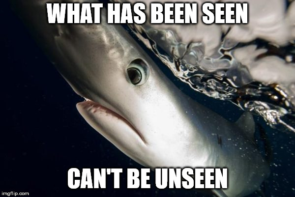 WHAT HAS BEEN SEEN; CAN'T BE UNSEEN | image tagged in blueshark | made w/ Imgflip meme maker