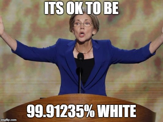 Elizabeth Warren | ITS OK TO BE; 99.91235% WHITE | image tagged in elizabeth warren | made w/ Imgflip meme maker