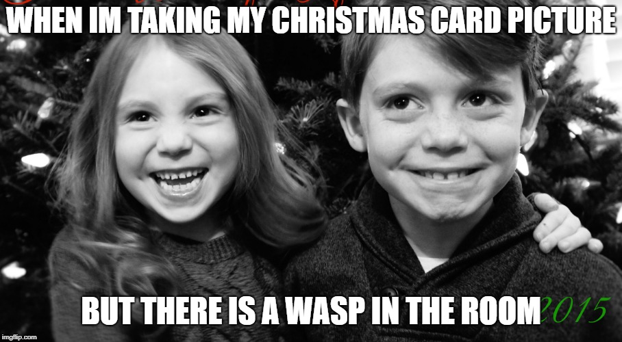 This is actually a picture of me | WHEN IM TAKING MY CHRISTMAS CARD PICTURE; BUT THERE IS A WASP IN THE ROOM | image tagged in carter christmas | made w/ Imgflip meme maker