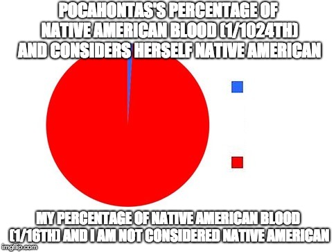 Pocahontas blood | POCAHONTAS'S PERCENTAGE OF NATIVE AMERICAN BLOOD (1/1024TH) AND CONSIDERS HERSELF NATIVE AMERICAN; MY PERCENTAGE OF NATIVE AMERICAN BLOOD (1/16TH) AND I AM NOT CONSIDERED NATIVE AMERICAN | image tagged in circle graph | made w/ Imgflip meme maker