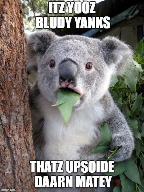 Surprised Koala Meme | ITZ YOOZ BLUDY YANKS THATZ UPSOIDE DAARN MATEY | image tagged in memes,surprised koala | made w/ Imgflip meme maker