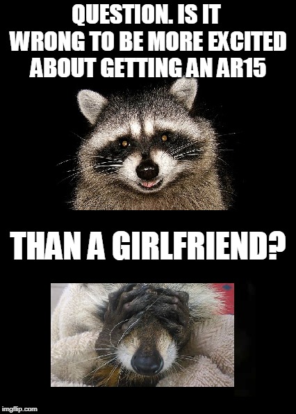 I know! It kind'a surprises me too! | QUESTION. IS IT WRONG TO BE MORE EXCITED ABOUT GETTING AN AR15; THAN A GIRLFRIEND? | image tagged in ar15,2nd amendment,make america great again | made w/ Imgflip meme maker