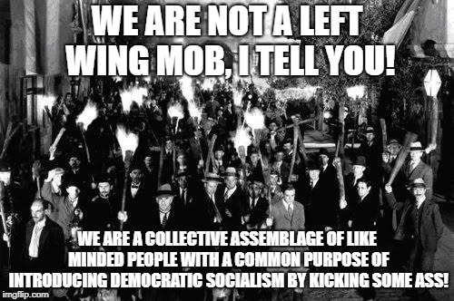 Angry Mob | WE ARE NOT A LEFT WING MOB, I TELL YOU! WE ARE A COLLECTIVE ASSEMBLAGE OF LIKE MINDED PEOPLE WITH A COMMON PURPOSE OF INTRODUCING DEMOCRATIC SOCIALISM BY KICKING SOME ASS! | image tagged in angry mob | made w/ Imgflip meme maker