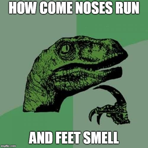 Philosoraptor | HOW COME NOSES RUN; AND FEET SMELL | image tagged in memes,philosoraptor | made w/ Imgflip meme maker