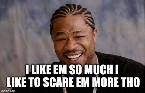 Yo Dawg Heard You Meme | I LIKE EM SO MUCH I LIKE TO SCARE EM MORE THO | image tagged in memes,yo dawg heard you | made w/ Imgflip meme maker