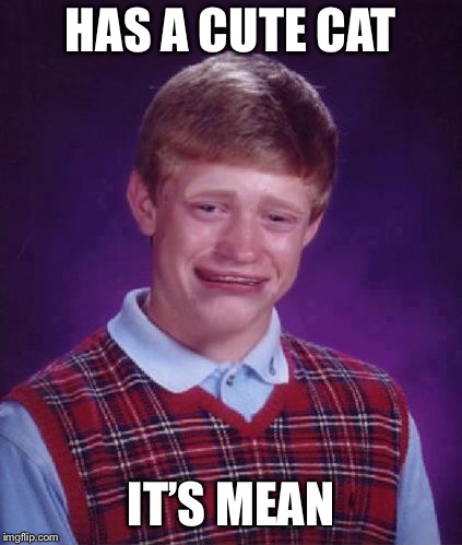 Bad Luck Brian Cry | HAS A CUTE CAT IT’S MEAN | image tagged in bad luck brian cry | made w/ Imgflip meme maker