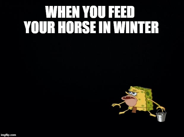 Farm animals in general, really. | WHEN YOU FEED YOUR HORSE IN WINTER | image tagged in black background,horse,spongegar,dark,winter,memes | made w/ Imgflip meme maker