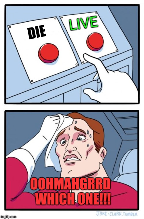 Two Buttons Meme | LIVE; DIE; OOHMAHGRRD  WHICH ONE!!! | image tagged in memes,two buttons | made w/ Imgflip meme maker