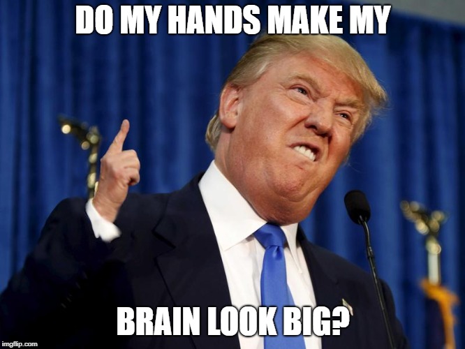 trump small hands | DO MY HANDS MAKE MY; BRAIN LOOK BIG? | image tagged in trump small hands | made w/ Imgflip meme maker