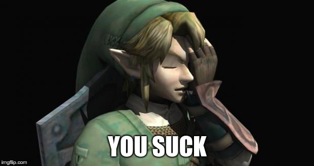 Link Facepalm | YOU SUCK | image tagged in link facepalm | made w/ Imgflip meme maker