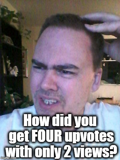 indecisive | How did you get FOUR upvotes with only 2 views? | image tagged in indecisive | made w/ Imgflip meme maker