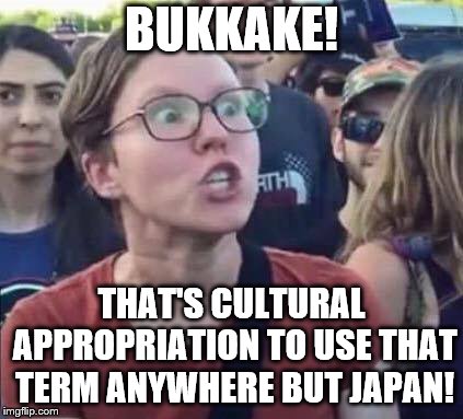 Angry Liberal | BUKKAKE! THAT'S CULTURAL APPROPRIATION TO USE THAT TERM ANYWHERE BUT JAPAN! | image tagged in angry liberal | made w/ Imgflip meme maker