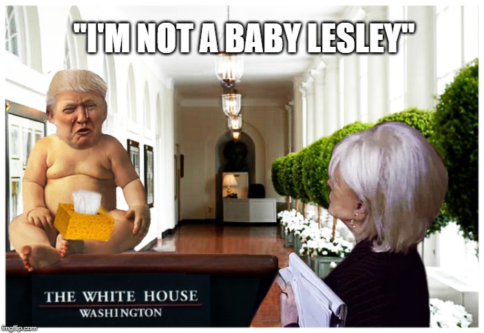 THE GREAT PRETENDER | "I'M NOT A BABY LESLEY" | image tagged in 60 minutes,donald trump,crying baby,evil toddler,political meme | made w/ Imgflip meme maker