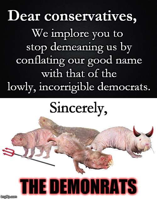 A Letter to Conservatives | Dear conservatives, We implore you to stop demeaning us by conflating our good name with that of the lowly, incorrigible democrats. Sincerely, THE DEMONRATS | image tagged in democrats,phunny,theelliot,conservatives,demonrats,memes | made w/ Imgflip meme maker