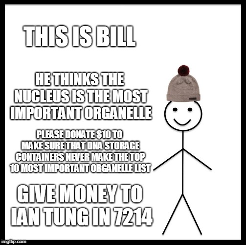 Be Like Bill Meme | THIS IS BILL; HE THINKS THE NUCLEUS IS THE MOST IMPORTANT ORGANELLE; PLEASE DONATE $10 TO MAKE SURE THAT DNA STORAGE CONTAINERS NEVER MAKE THE TOP 10 MOST IMPORTANT ORGANELLE LIST; GIVE MONEY TO IAN TUNG IN 7214 | image tagged in memes,be like bill | made w/ Imgflip meme maker