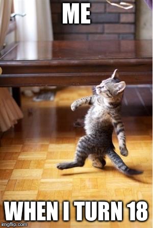 Walking Cat | ME; WHEN I TURN 18 | image tagged in walking cat | made w/ Imgflip meme maker