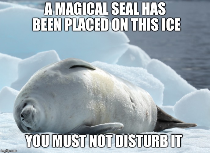 Magic seal | A MAGICAL SEAL HAS BEEN PLACED ON THIS ICE; YOU MUST NOT DISTURB IT | image tagged in seals | made w/ Imgflip meme maker