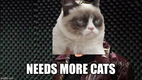 NEEDS MORE CATS | made w/ Imgflip meme maker