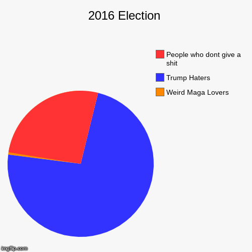 2016 Election | Weird Maga Lovers, Trump Haters, People who dont give a shit | image tagged in funny,pie charts | made w/ Imgflip chart maker